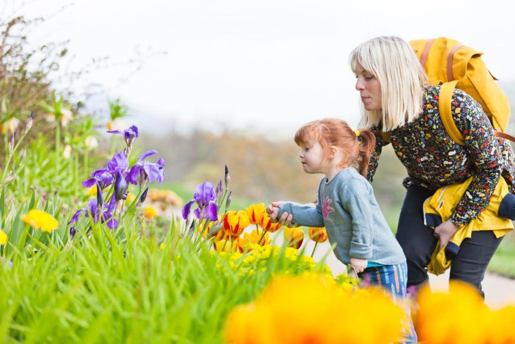 Family adventures with National Trust Cymru Easter 2023