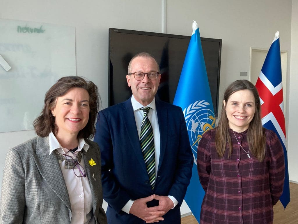 Health and wellbeing in Wales promoted across Europe