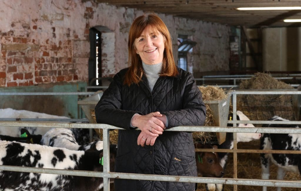 Additional £2.5m to tackle antimicrobial resistance in animals in Wales