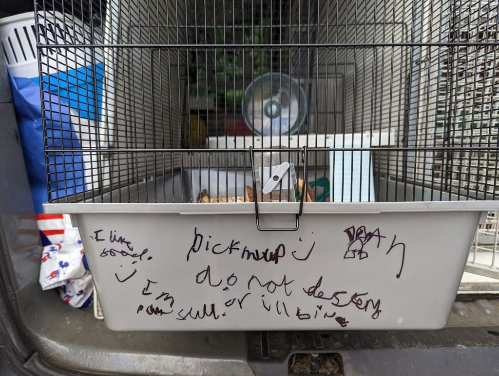 Hamster ‘thrown out with the rubbish’ in Port Talbot