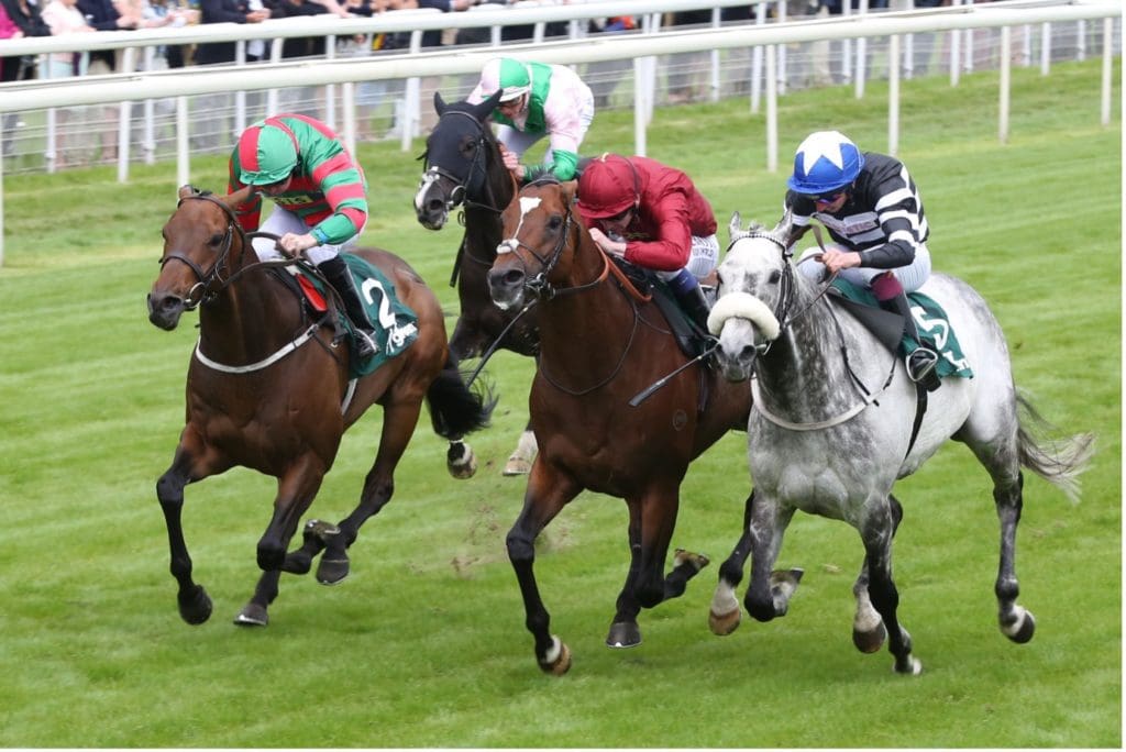 2024: The year of the grey Grand National winner?