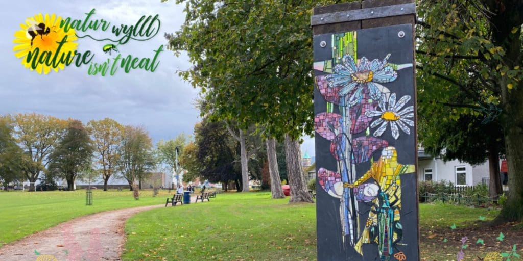 New nature campaign launched in green spaces across Gwent