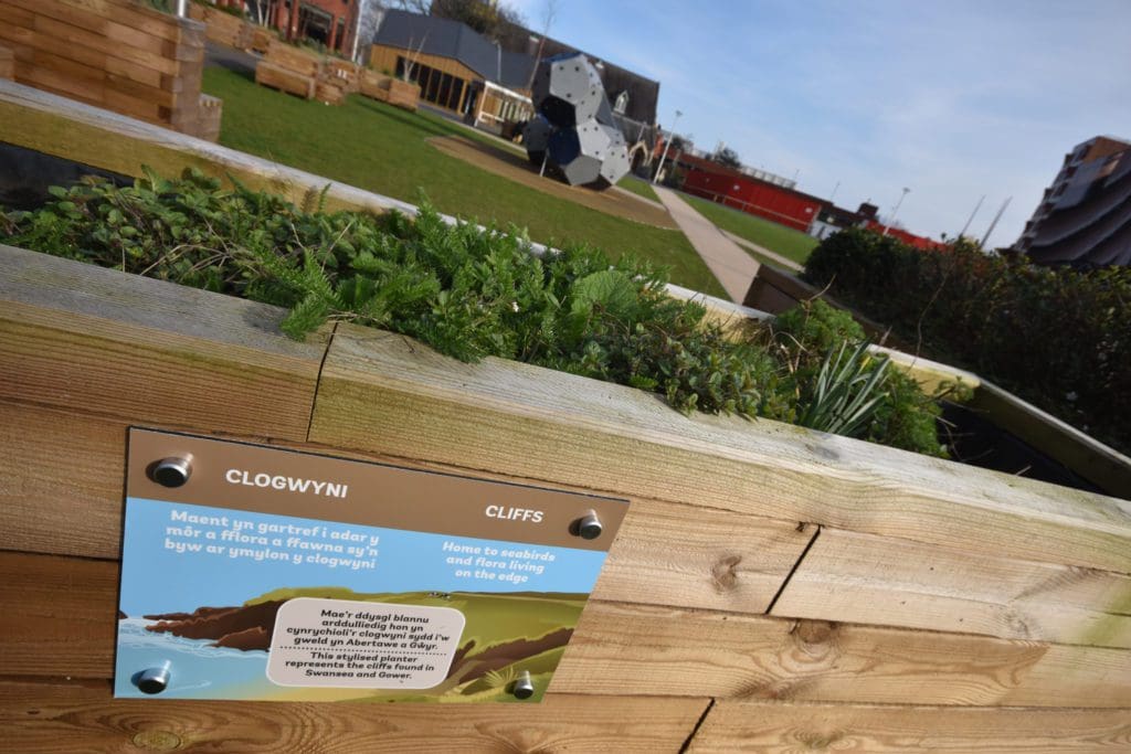 Swansea’s newest small park leads way in green future