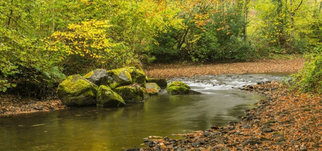 Bridgend commits to hosting Valleys Regional Park until 2024