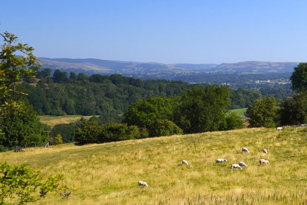 First Wales Wildlife and Rural Crime Strategy to be launched