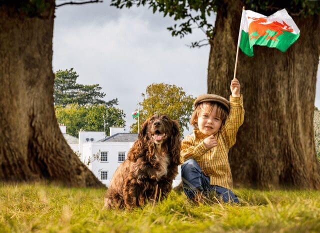 The GWCT Welsh Game Fair set to return to Vaynol Estate this autumn