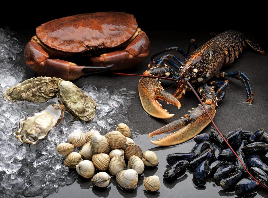 Welsh seafood on show at global expo event