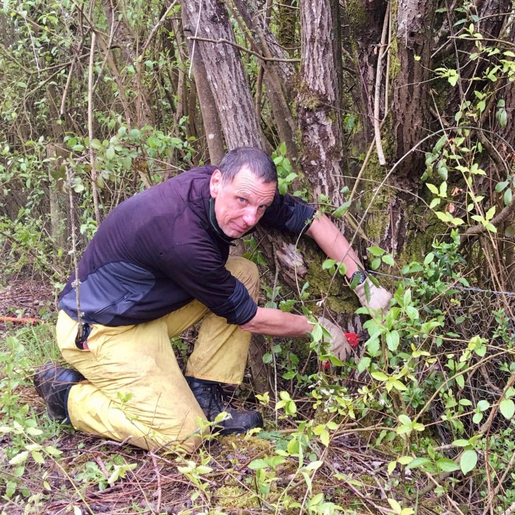 Return to pre-Covid levels of volunteering in Cardiff’s Parks a ‘big help’