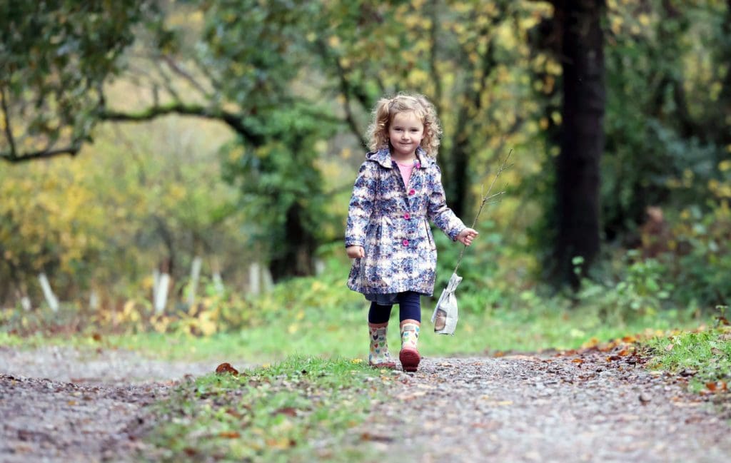 Success for Wales-wide tree planting project as 300,000 trees find homes
