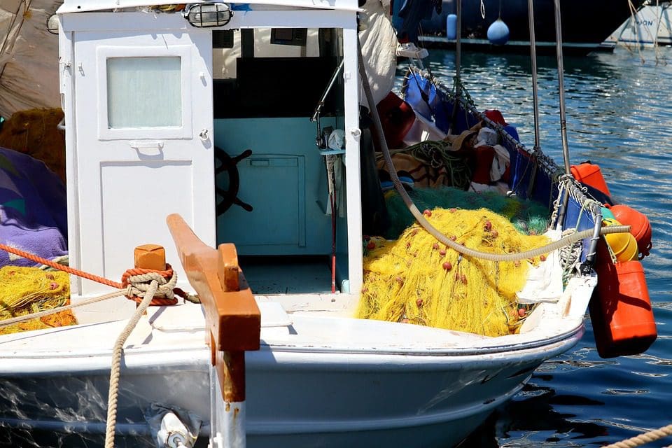 Last call for fishing business grants for 2023