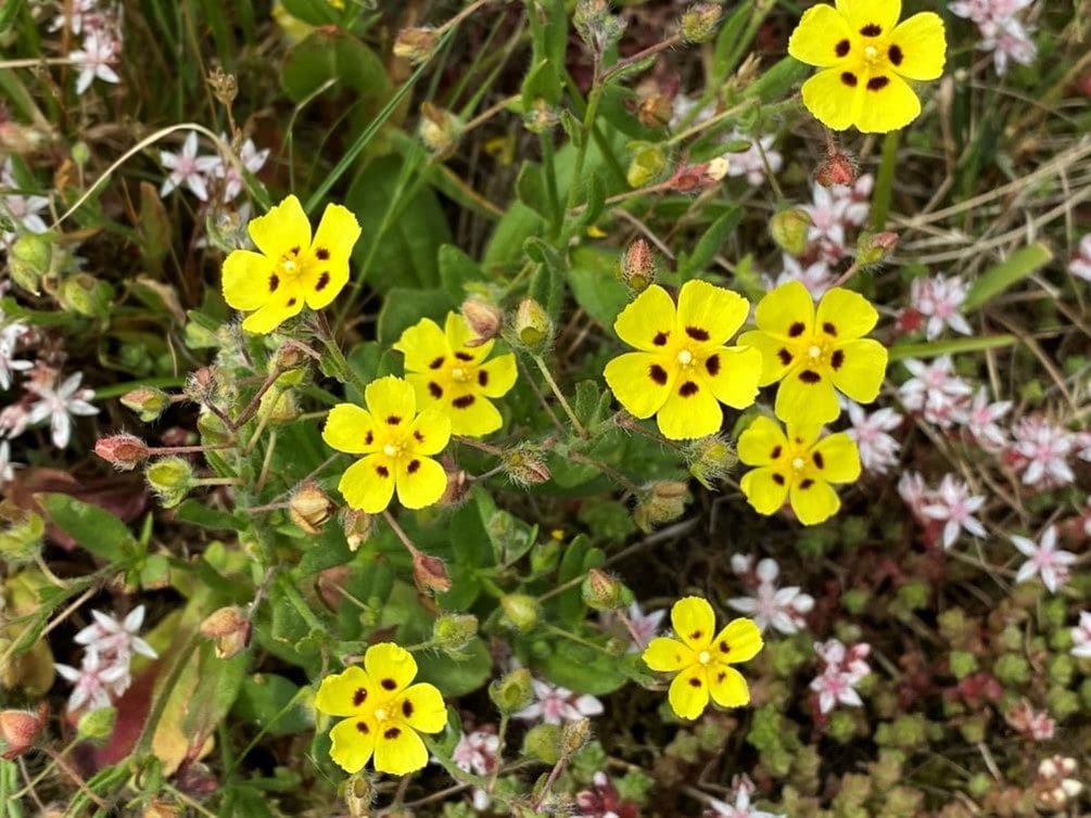 National Lottery Heritage Fund pledges £4.1 million towards ambitious nature partnership