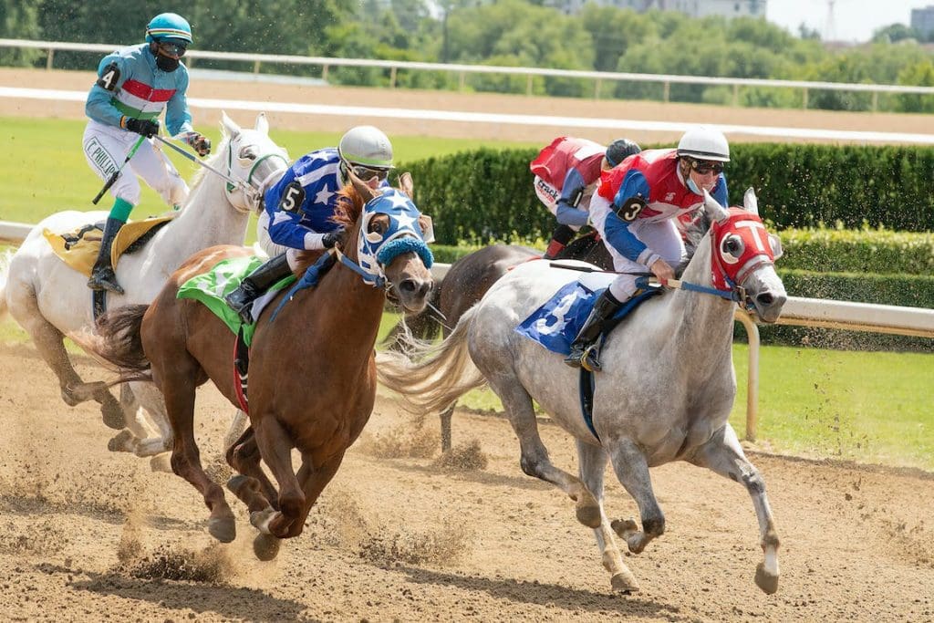 All Eyes on Belmont: Meet the Top Contenders for the 2023 Belmont Stakes
