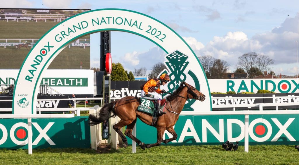 Grand National winner Sam Waley-Cohen to judge Royal Welsh Supreme Horse Championship