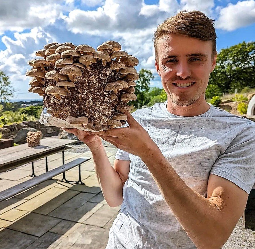 Microgreens growers reach great heights thanks to revolutionary vertical farming project