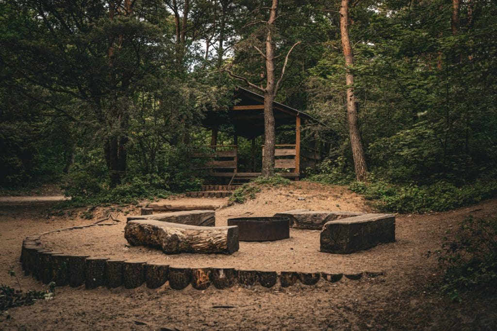 Pizza restaurant opens woodland pop-up with This Must Be The Place