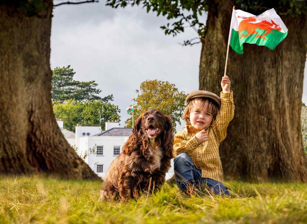 Countryside show will create £12m bonanza for North Wales