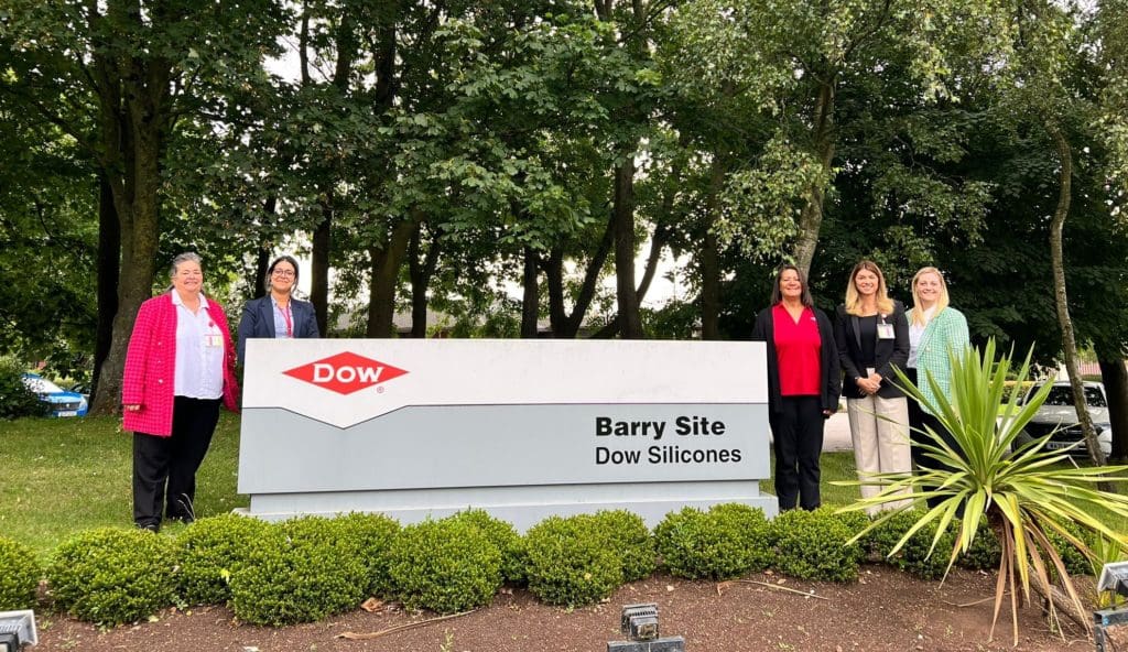 Mrs Buckét Wins New Key Account with Dow in Barry