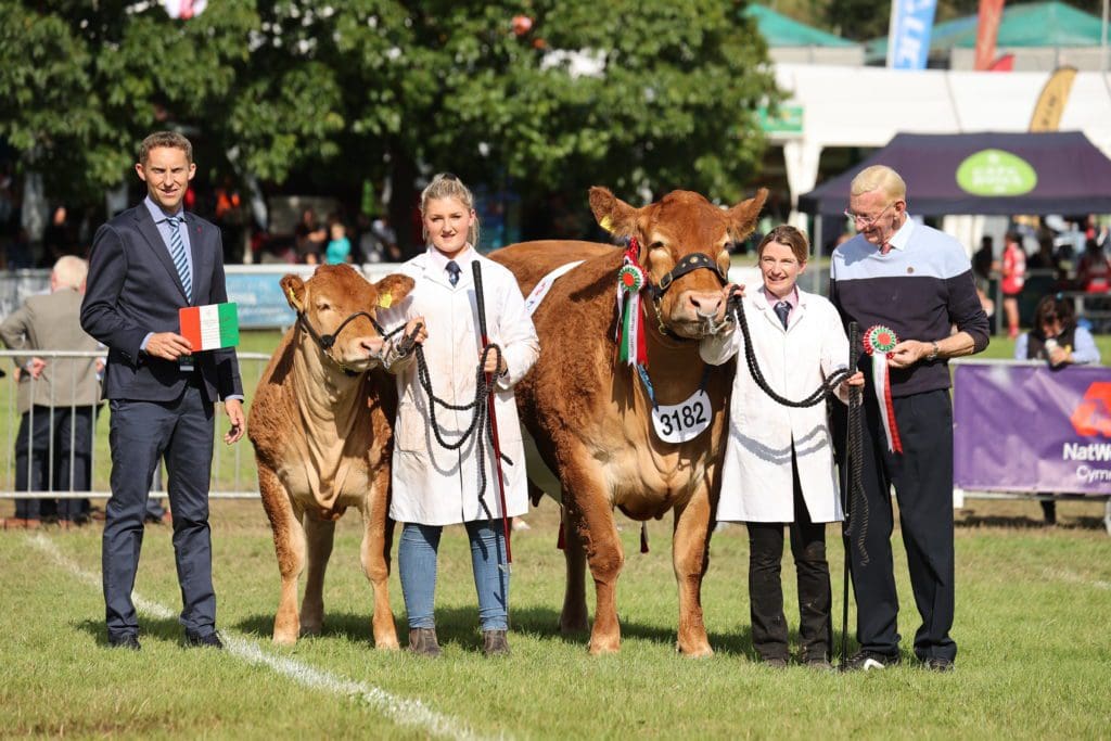 Best of Welsh on display at the 102nd Royal Welsh Show