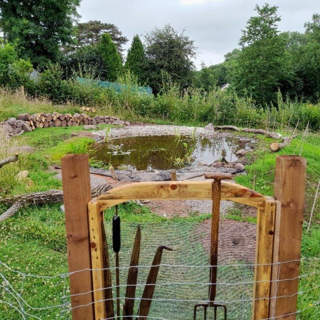 Funding awarded for Gwent’s Nature Network