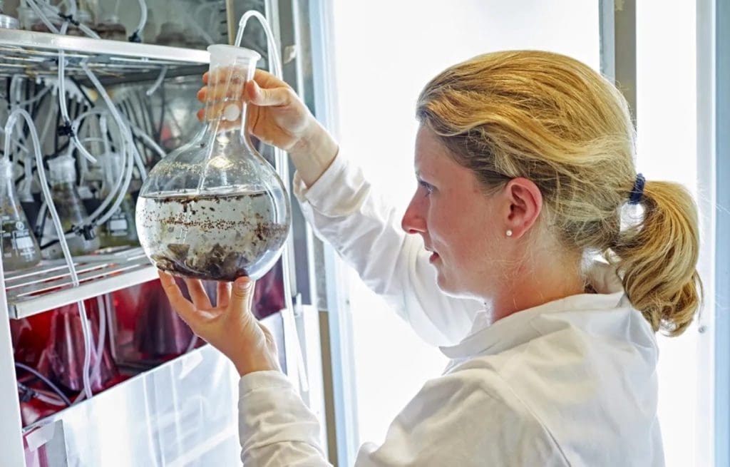 Swansea to become UK leader in natural products innovation