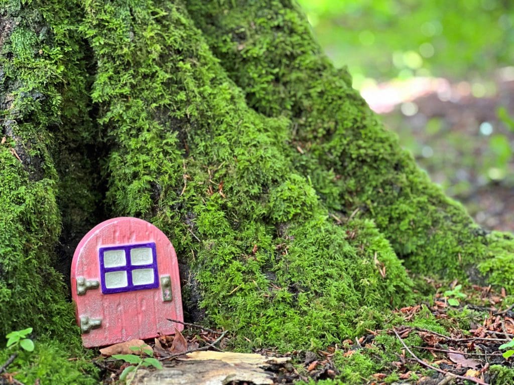 Explore Gregynog’s Forest Fairy Trail over the Bank Holiday weekend