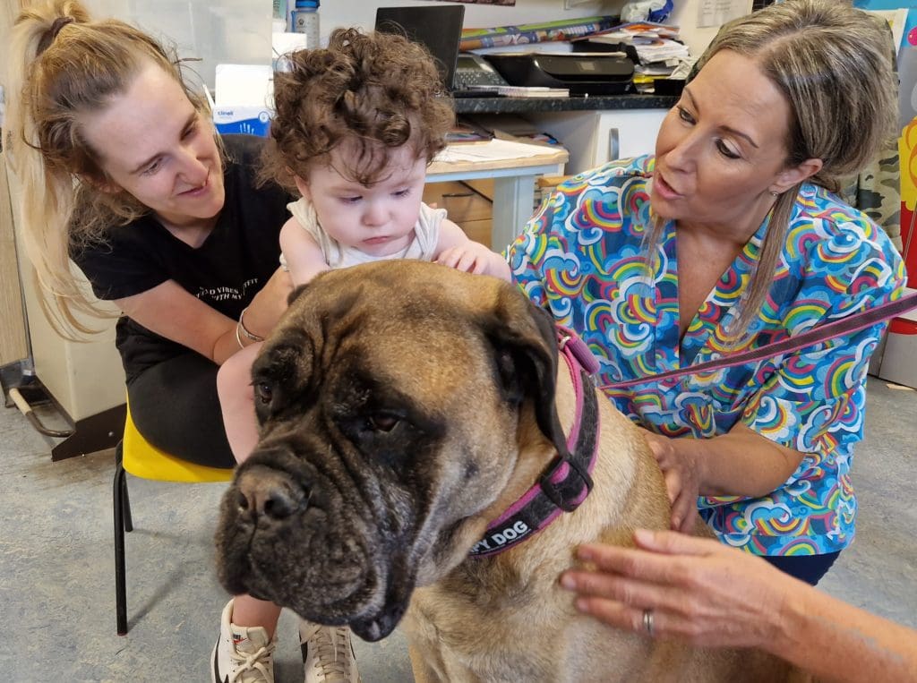 Pet therapy prescribed for young patients at Welsh hospital