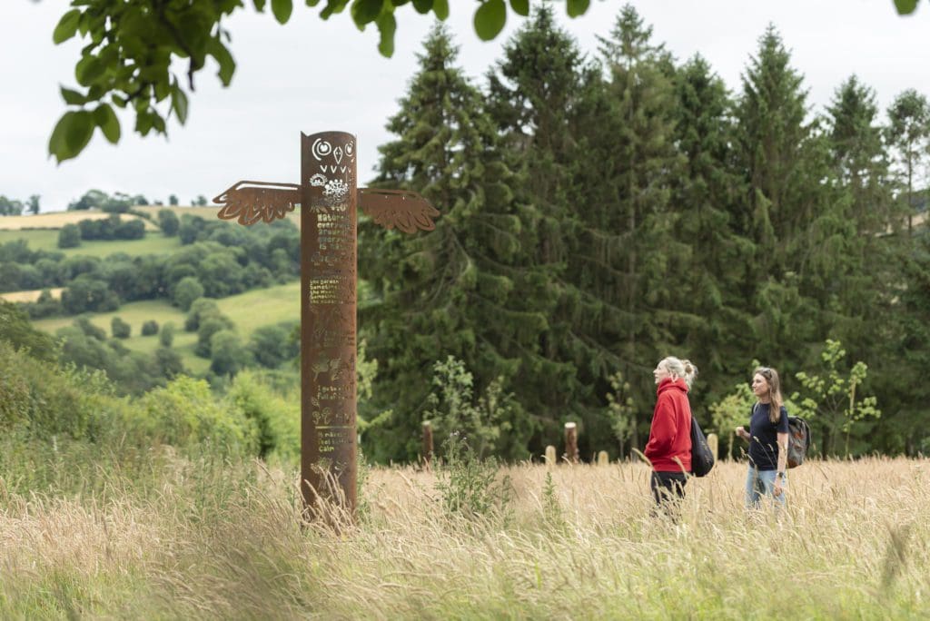 People and nature thrive at Chirk Castle thanks to the creation of a Mindful Meadow
