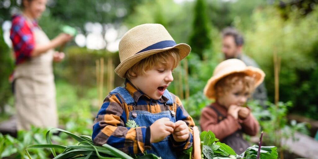 Monmouthshire campaign to help people ‘grow their own’