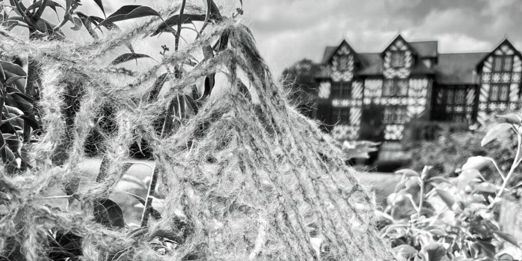 Haunted Hallowe’en Trail at Gregynog Hall for half term visitors