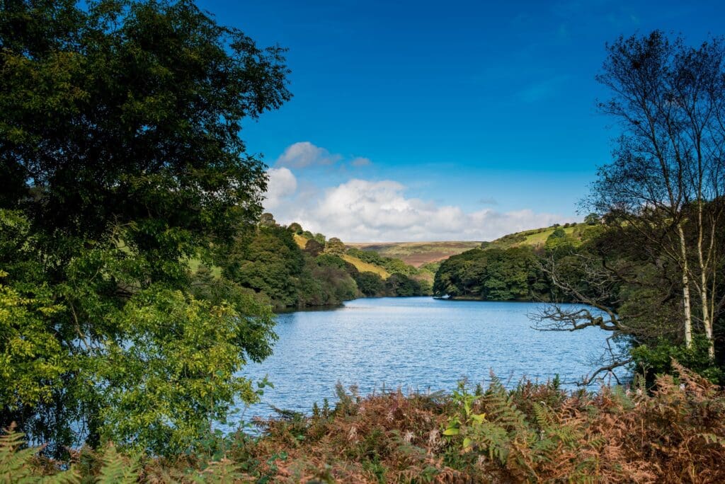 More funding opportunities for rural projects in Swansea