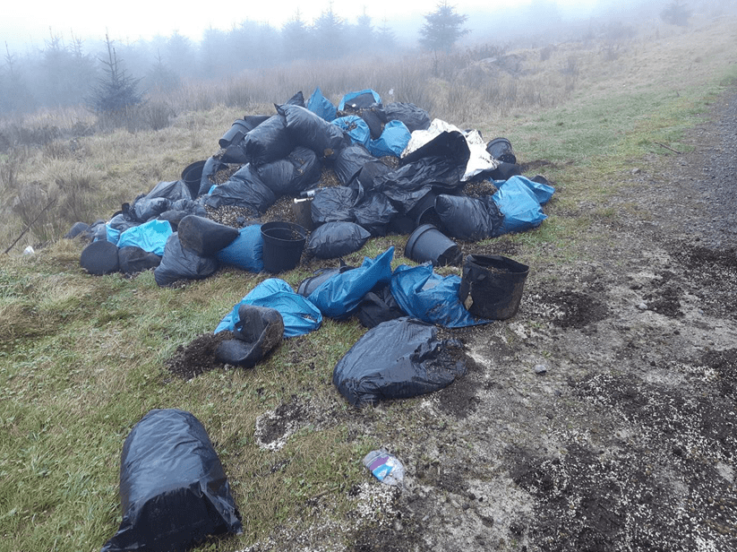 Man pays heavy price after remains of cannabis farm found dumped in forest