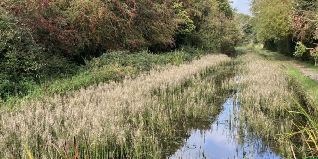 Second phase of dredging underway on Montgomery Canal restoration