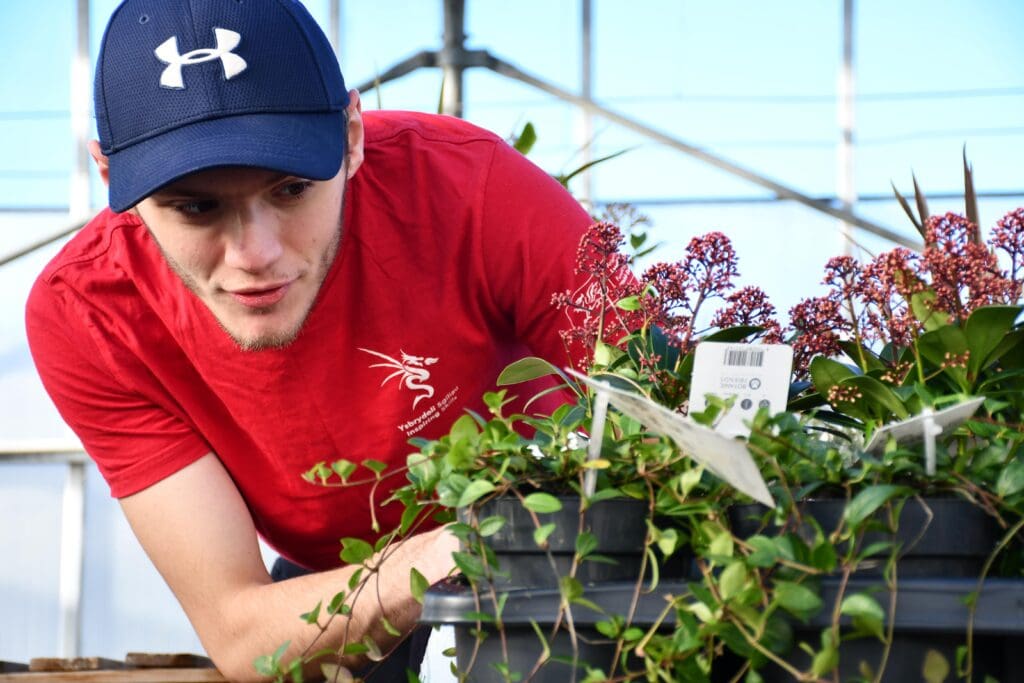 Team Wales emerges triumphant at national skills competition