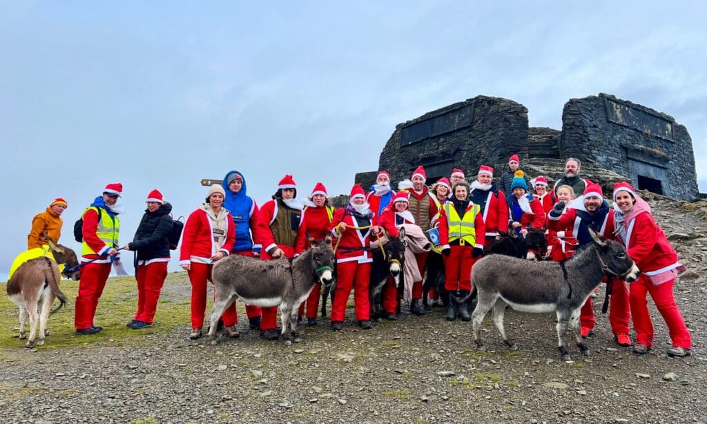 Log cabins, glamping pods and new jobs among plans for donkey attraction in 2024