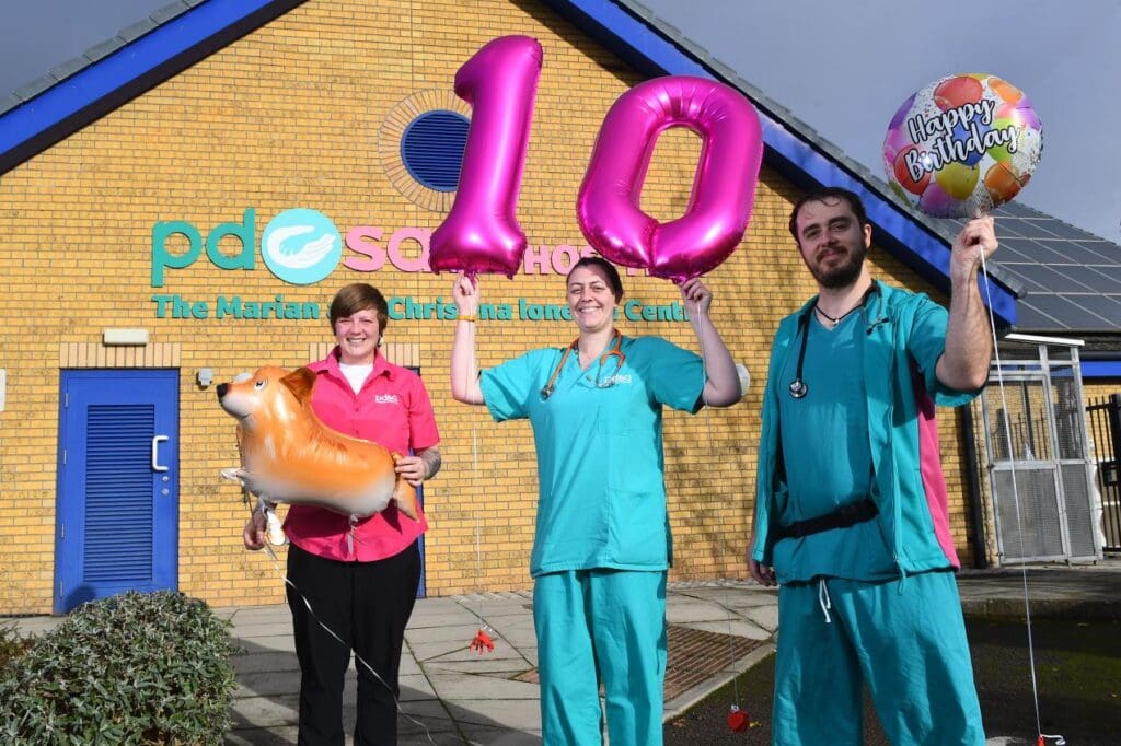Cardiff pet hospital celebrates 10th birthday