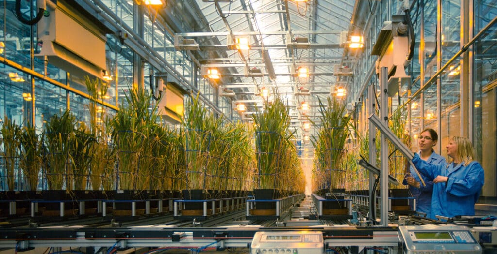 Aber scientists receive funding to help reduce the use of fertiliser