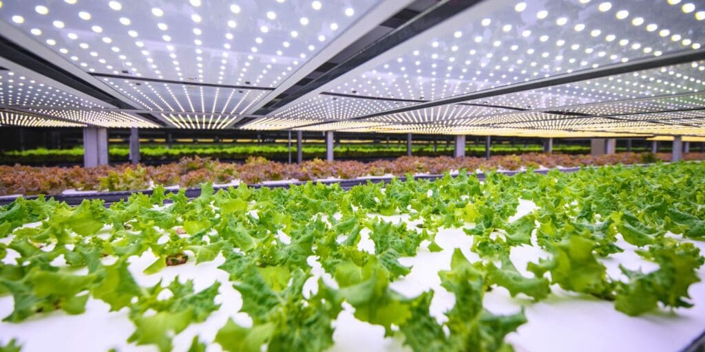 The Evolution of Vertical Farming: Redefining Labor Dynamics through AI Advancements