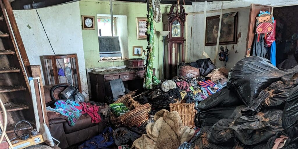 Men sentenced as house fire uncovered unsuitable environment for cats