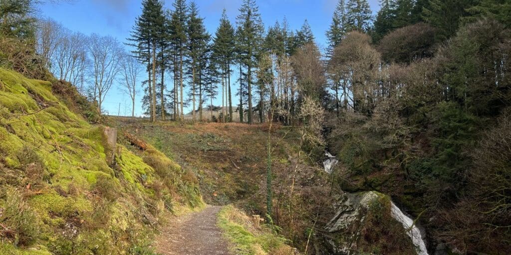 Walk Your Dog Month: the 6 best dog-friendly Wales Coast Path walks