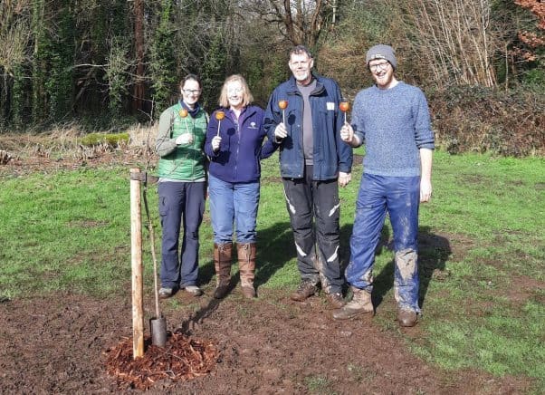 Fruit trees planted at new Community Orchard in Bute Park