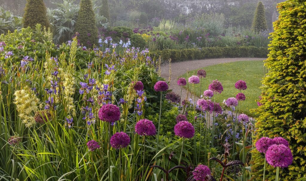 Aberglasney ‘May Morning’ photograph rewarded in International Garden Photographer of the year competition