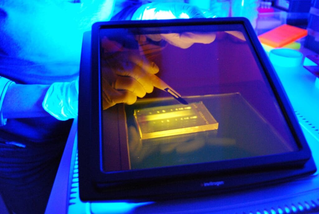 £13 million for biotechnology research to address environmental challenges