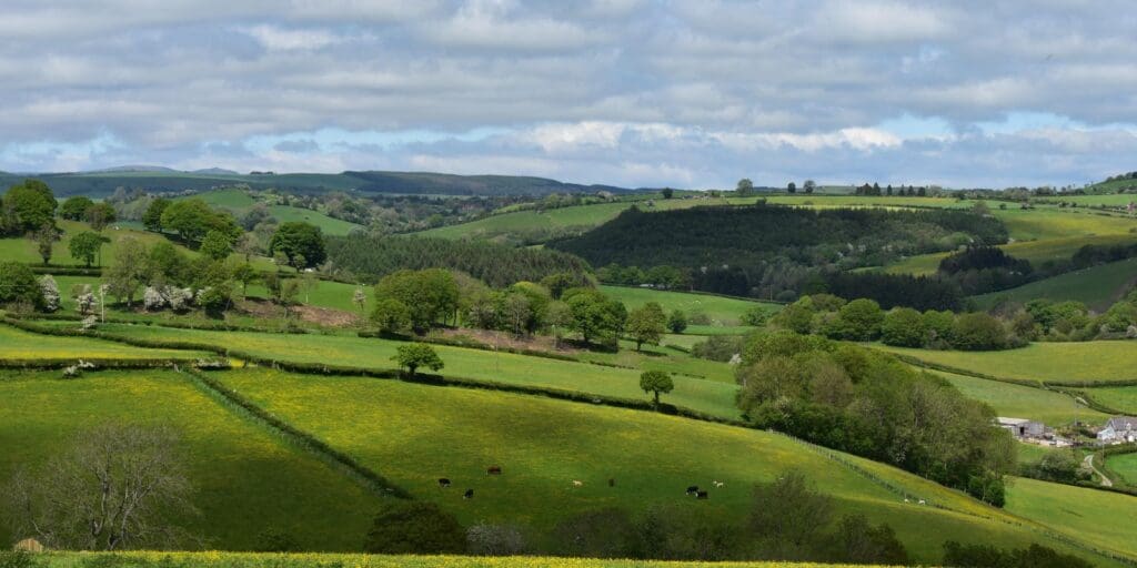 History repeating itself says FUW as two agricultural Senedd motions voted down
