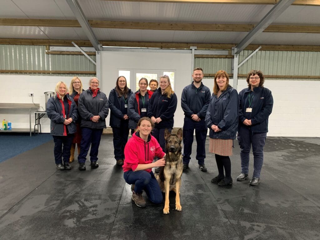 Animal Licensing Wales project extended until 2025