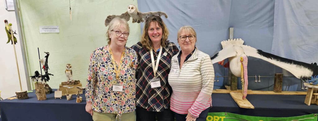 Interactive Flock2Flight felt birds display heading to Wonderwool Wales 2024