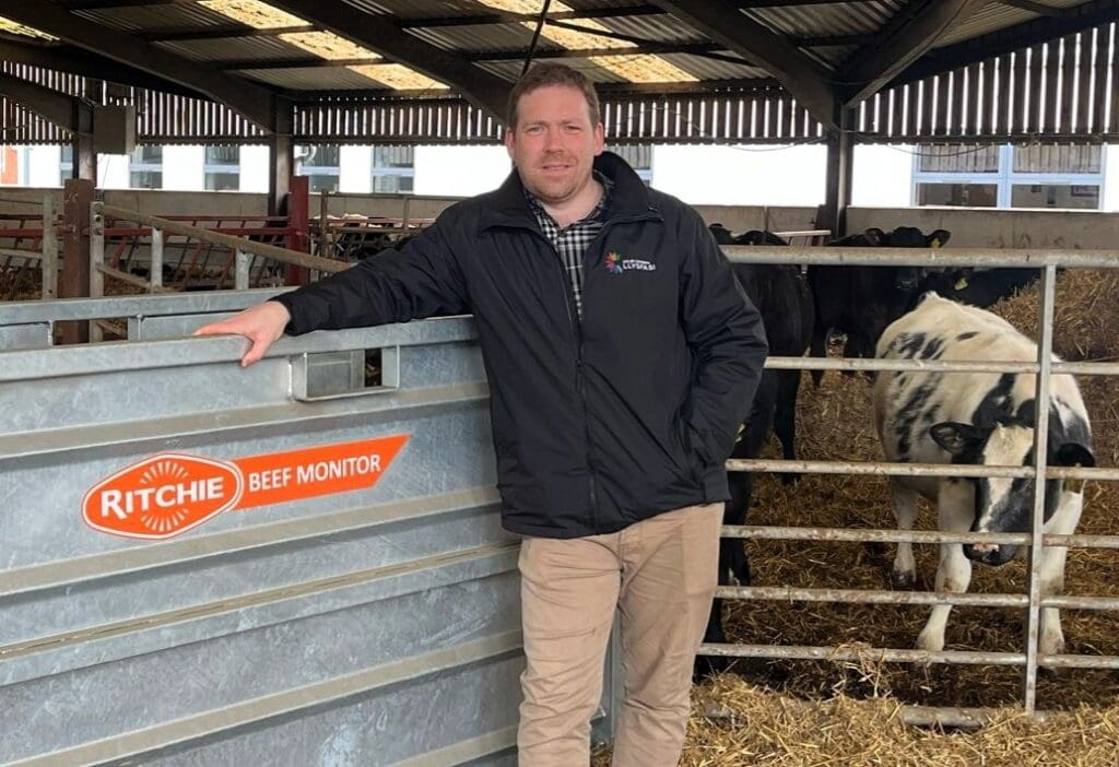 North Wales college sees enrollment almost double following investment