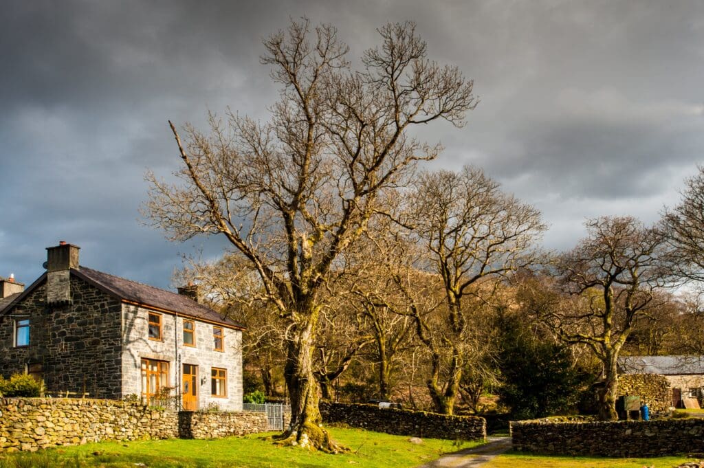 National Trust Cymru seeking tenant for a special farm in Eryri