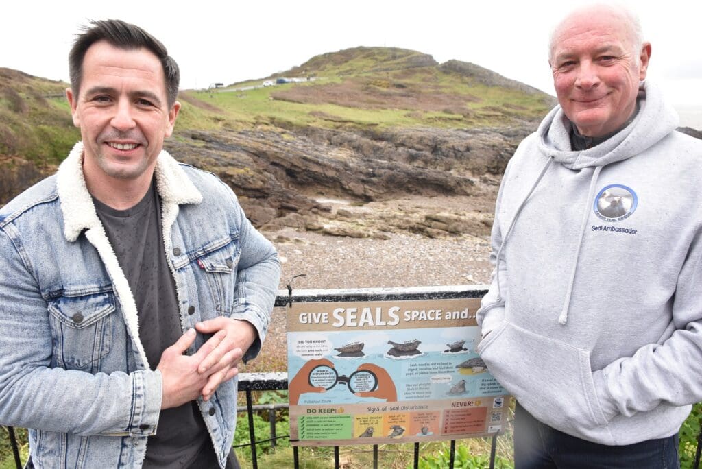 Wildlife campaign to help protect seals on the Swansea and Gower coastline