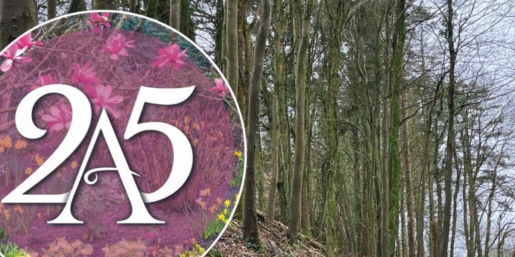 Aberglasney celebrates 25th anniversary of opening to the public