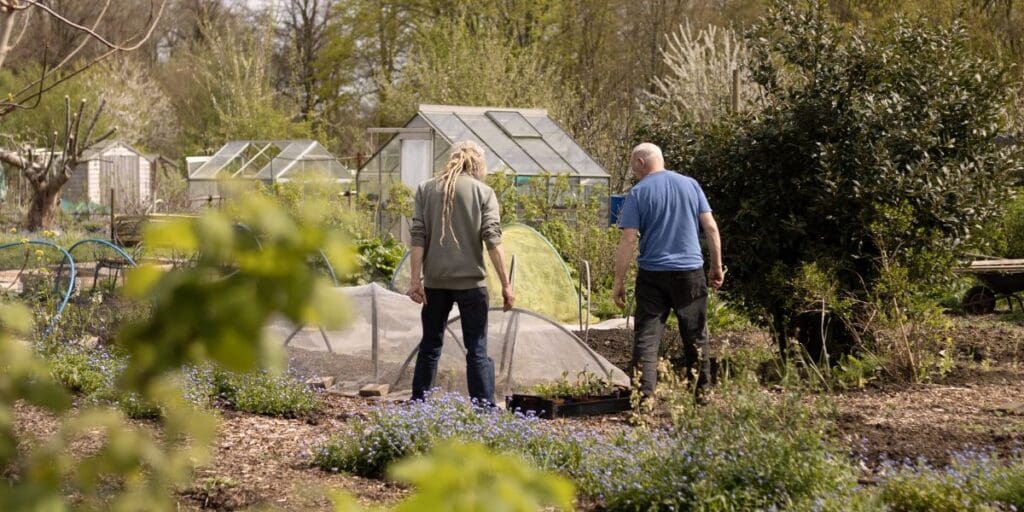 Cardiff Salad Garden – Plant and Share
